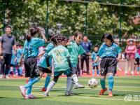 开云体育在线登录-体育节目精彩纷呈，解读足球赛场风云的简单介绍