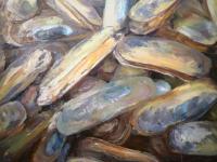 开云体育登录-东亚热火朝天：球场上再掀波澜壮阔风云