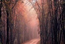 开云体育入口-苏宁远征申花，主客之争激烈，遗憾败北令球迷心碎的简单介绍