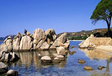 开云体育入口-苏宁远征申花，主客之争激烈，遗憾败北令球迷心碎的简单介绍