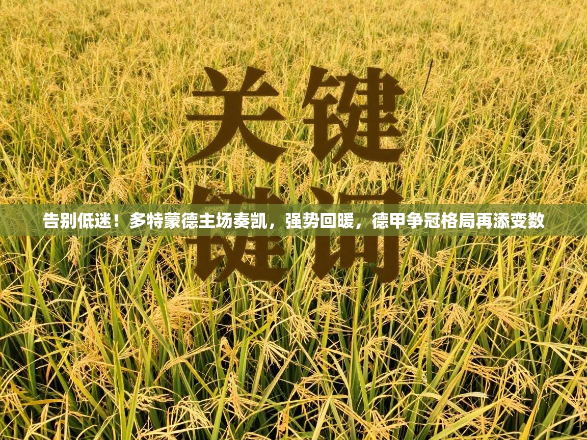 告别低迷！多特蒙德主场奏凯，强势回暖，德甲争冠格局再添变数  第1张