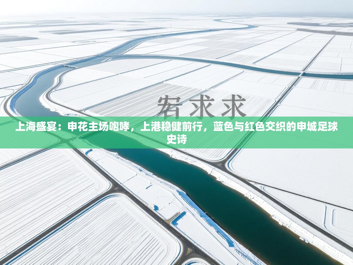 上海盛宴:申花主场咆哮,上港稳健前行,蓝色与红色交织的申城足球史诗 第2张