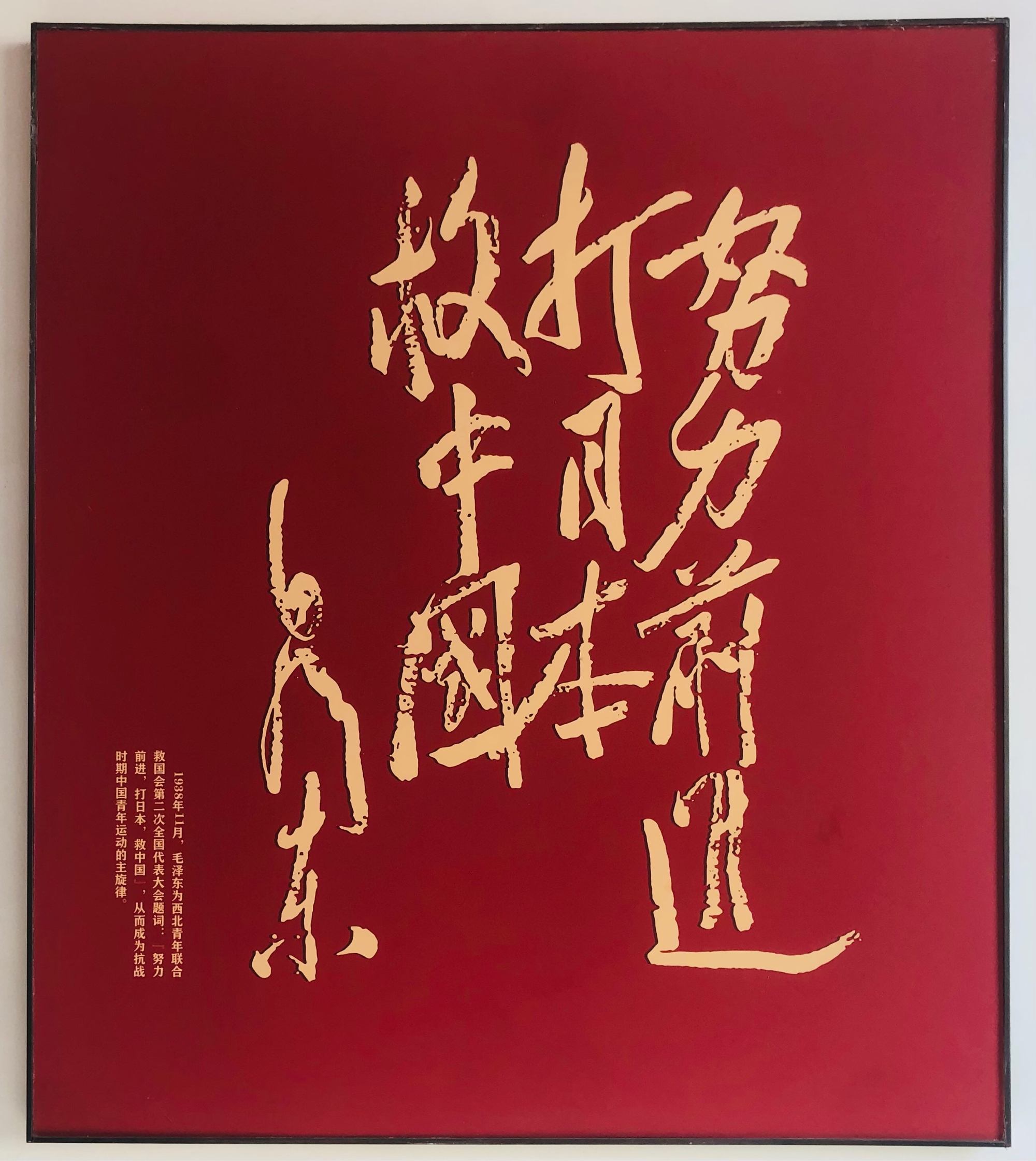 纪念历史时刻，欢庆运动精神的传承